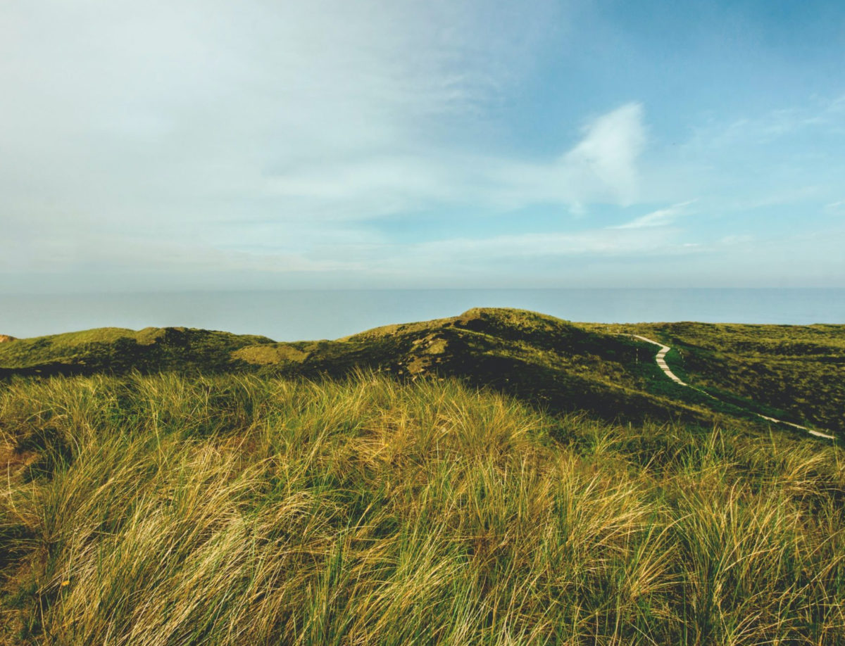 CrabbyBird #3 Generowanie świata gry – cześć I